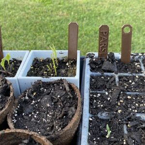 Durable 3D Printed PETG Plant Markers | Weather-Resistant Garden Labels | sproutworks.store