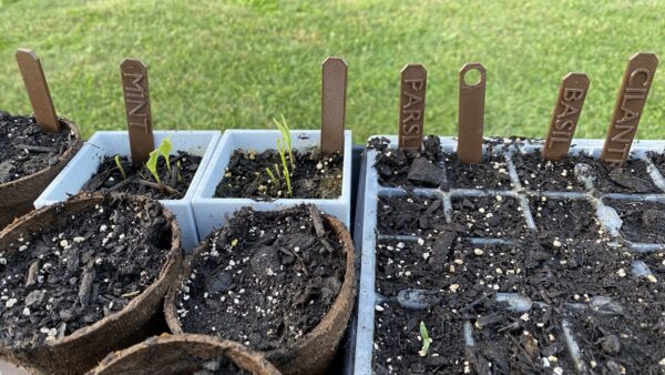 Durable 3D Printed PETG Plant Markers | Weather-Resistant Garden Labels | sproutworks.store